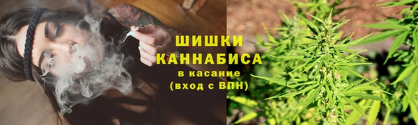 индика Осташков
