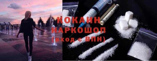 индика Осташков