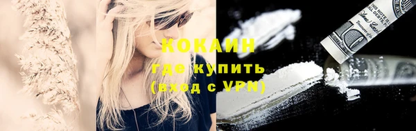 индика Осташков