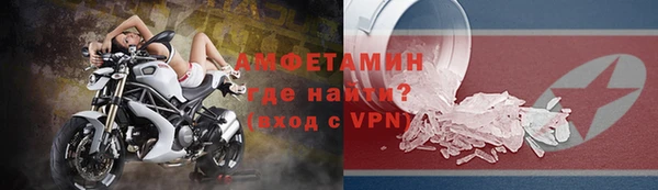 индика Осташков