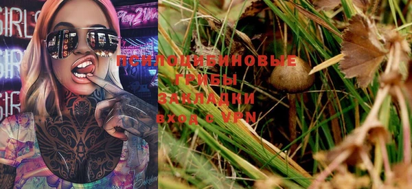 дмт Осинники