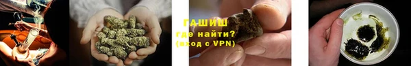 индика Осташков
