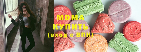 индика Осташков