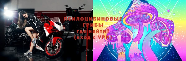 индика Осташков