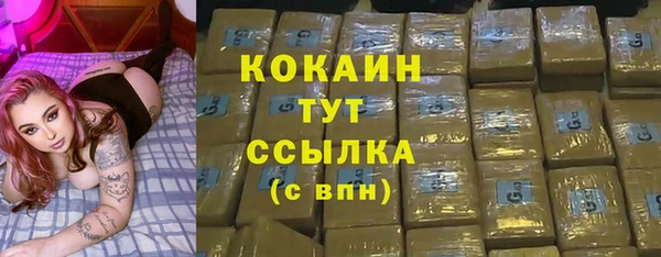 индика Осташков