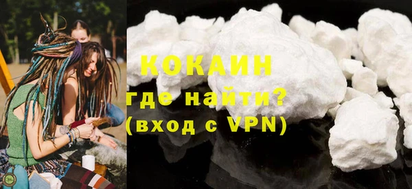 индика Осташков