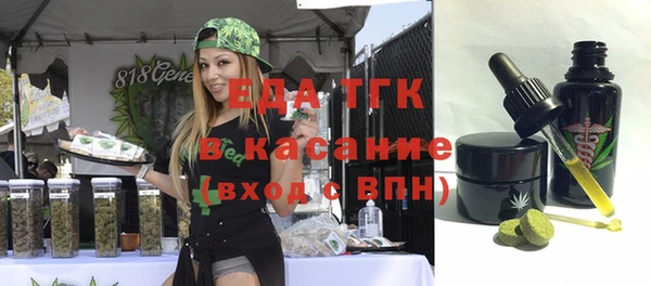 индика Осташков