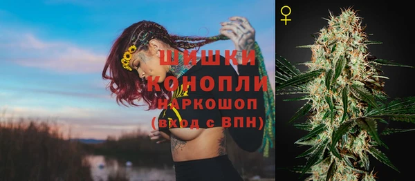 индика Осташков