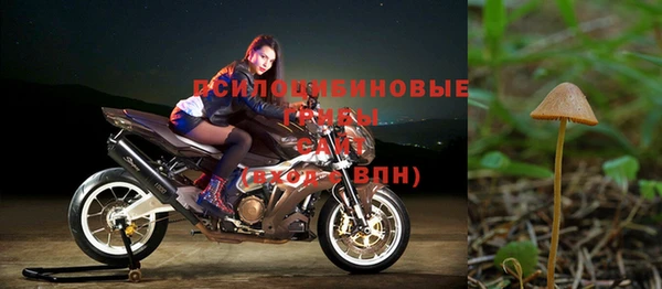 индика Осташков